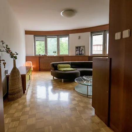 公寓 Golden Goose Apartment *
