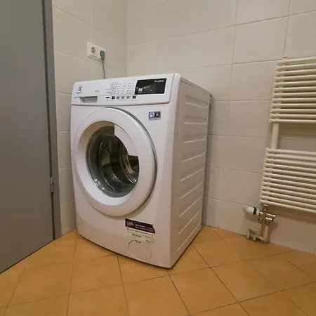 Golden Goose Apartment 卢布尔雅那