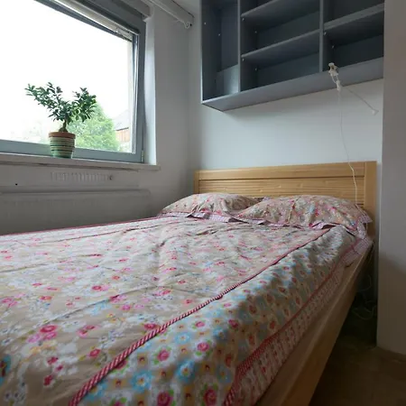 Golden Goose Apartment *