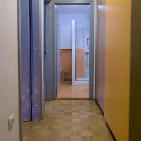 公寓 Golden Goose Apartment 卢布尔雅那