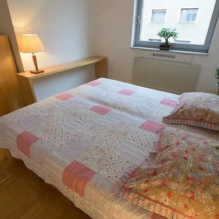 Golden Goose Apartment 卢布尔雅那