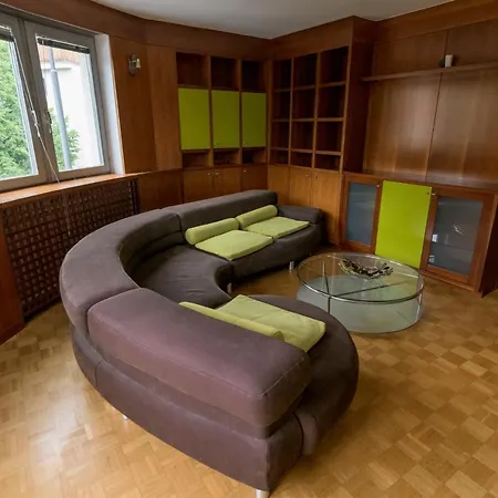 公寓 Golden Goose Apartment 卢布尔雅那